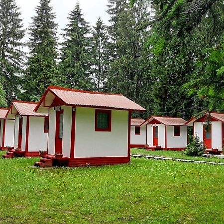 Casute Valea Zanelor Hotel Covasna Exterior foto
